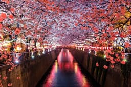 The Ultimate 10-Day Japan Itinerary: Your Gateway to the Land of the Rising Sun