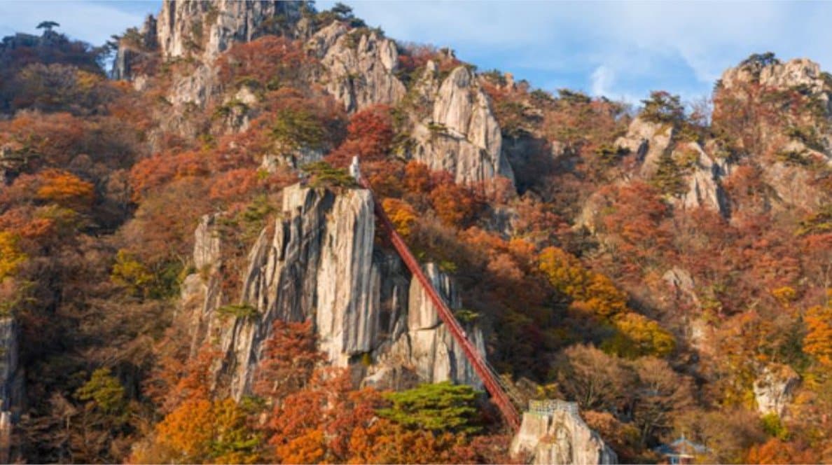 South Korea Seasonal Travel Guide: Best Time to Visit &amp; Tour Packages