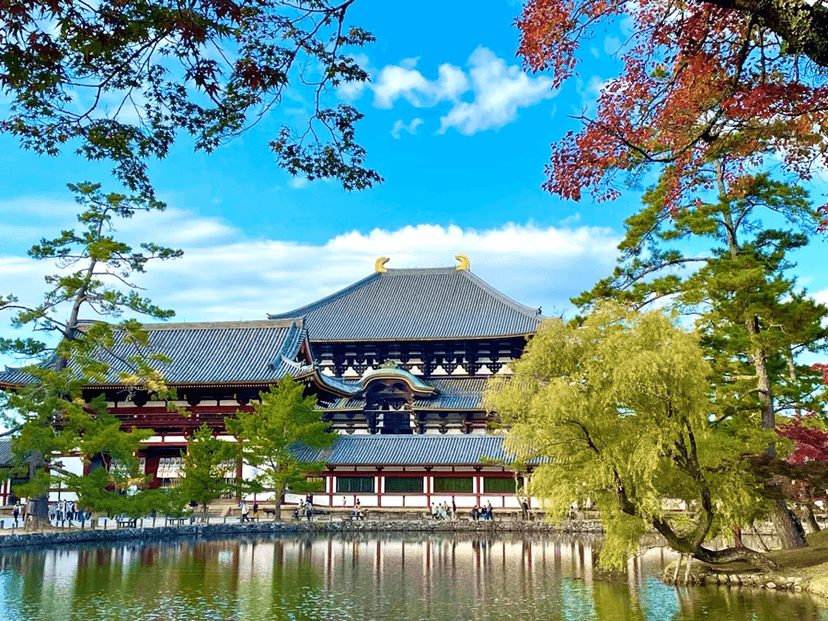 Khám Phá Nhật Bản: Hành Trình Lạc Bước Giữa Di Sản Cổ Kính và Phong Tục Truyền Thống