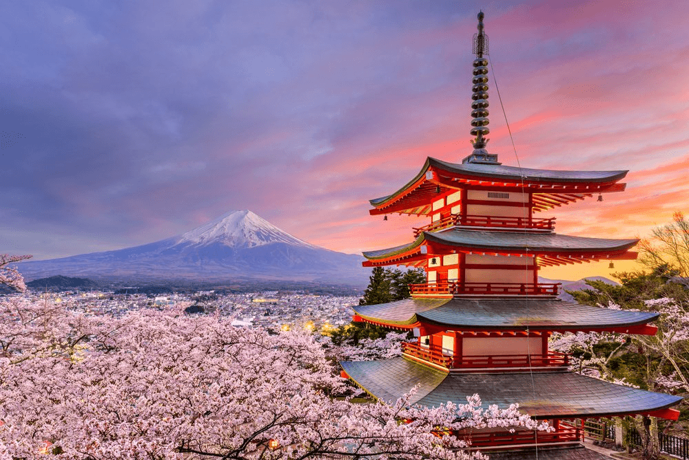 Tour Nhật Bản 7 Ngày: Lịch Trình Chi Tiết Tokyo–Kyoto–Osaka Từ A Đến Z