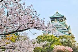 Paket Wisata Jepang: Tokyo, Kyoto &amp; Osaka dalam Satu Perjalanan Tak Terlupakan