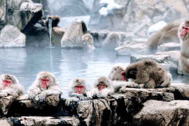 1753323904986best time to visit Japan (6).png