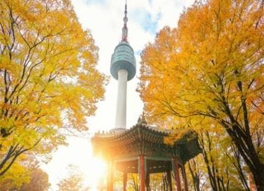 ĐẮM CHÌM SẮC THU XỨ KIM CHI: BUSAN - SEOUL - NAMI 6N5Đ