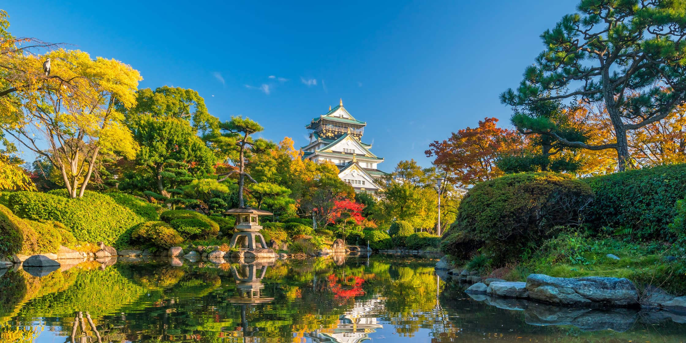 Japan Autumn Red Leaves Tour 6 Days 5 Nights From Hanoi