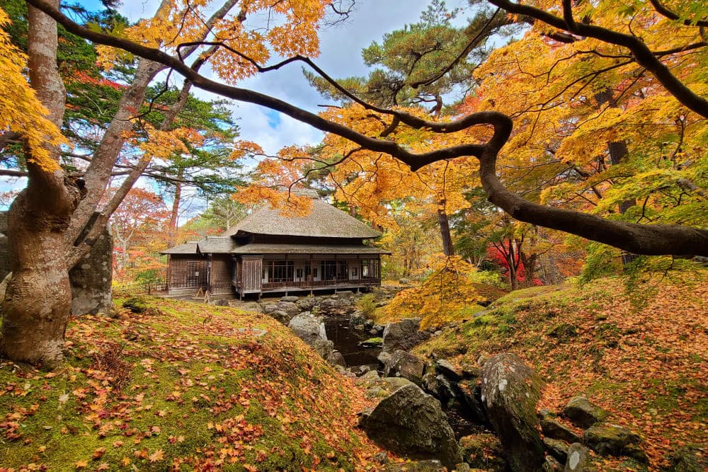8D6N Scenic East Hokkaido