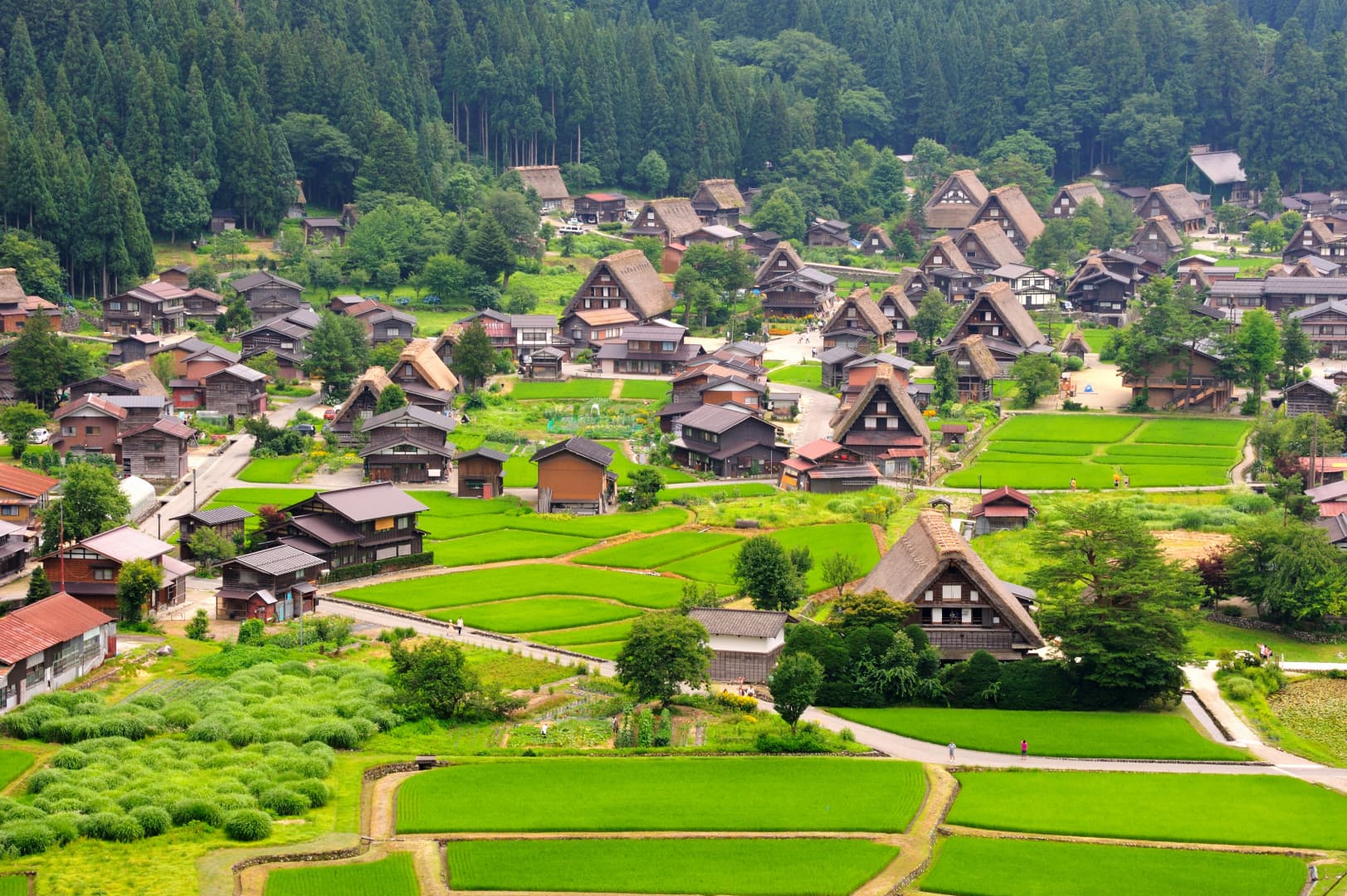 8d6n-classic-hokkaido