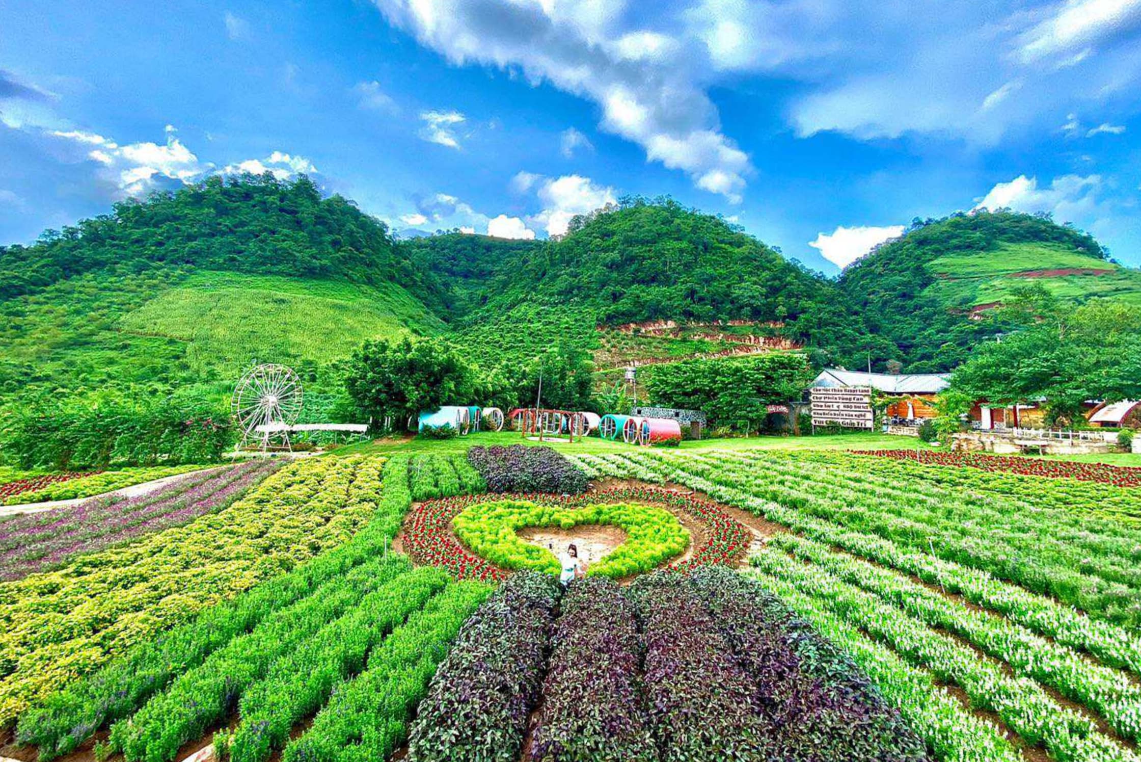 Tour Mộc Châu - Cầu Kính Bạch Long - Săn Mây Tà Xùa 2N1Đ từ Hà Nội