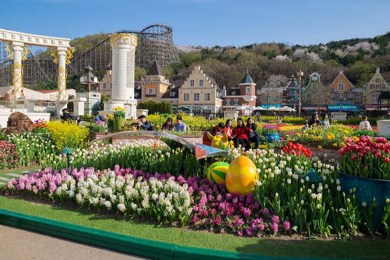 Tour Hàn Quốc Seoul Nami 5 ngày 4 đêm