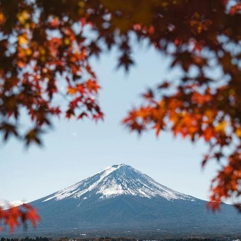 Tokyo – Mount Fuji Japan Discovery Tour 2025