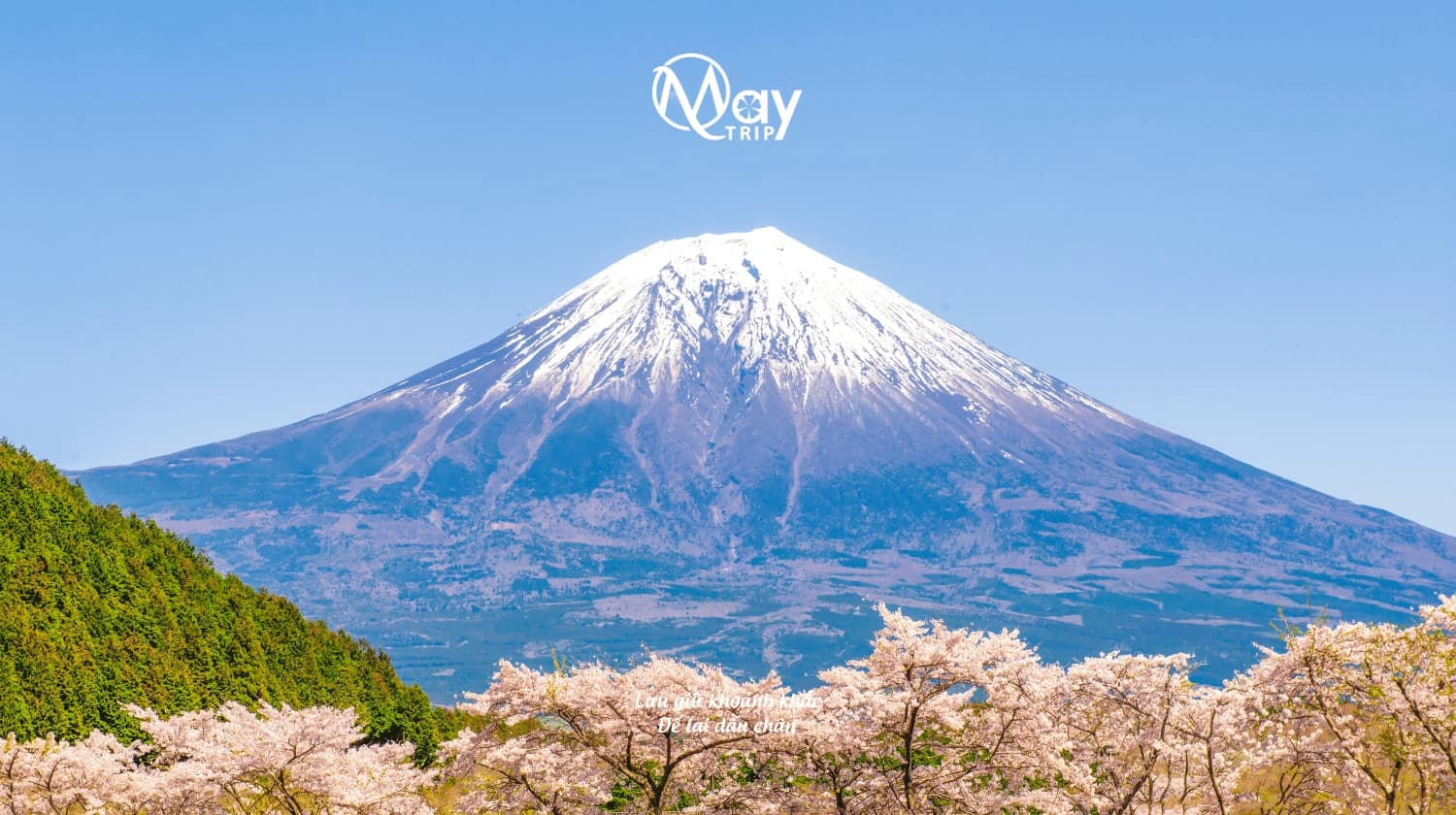 Tokyo – Mount Fuji Japan Discovery Tour 2025