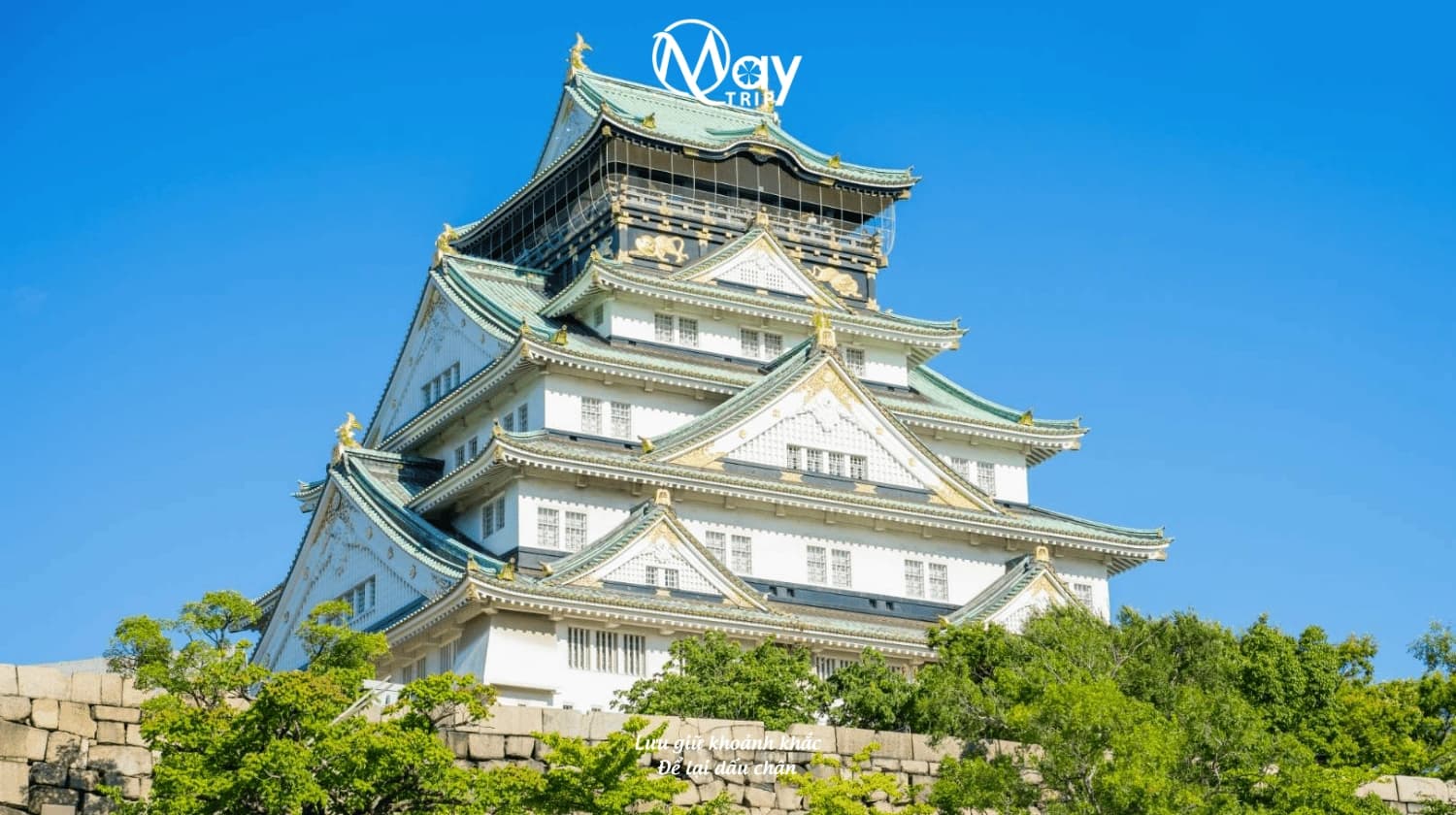 Tour Nhật Bản Cung Đường Vàng Nara - Tokyo Hè 2025