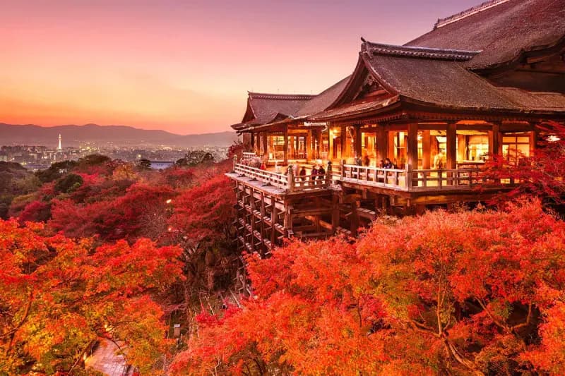 Japan Autumn Tour 2025: Ho Chi Minh City - Osaka - Kobe - Kyoto - Nagoya - Yamanashi - Tokyo (5 Days, 5 Nights) with Vietjet Air