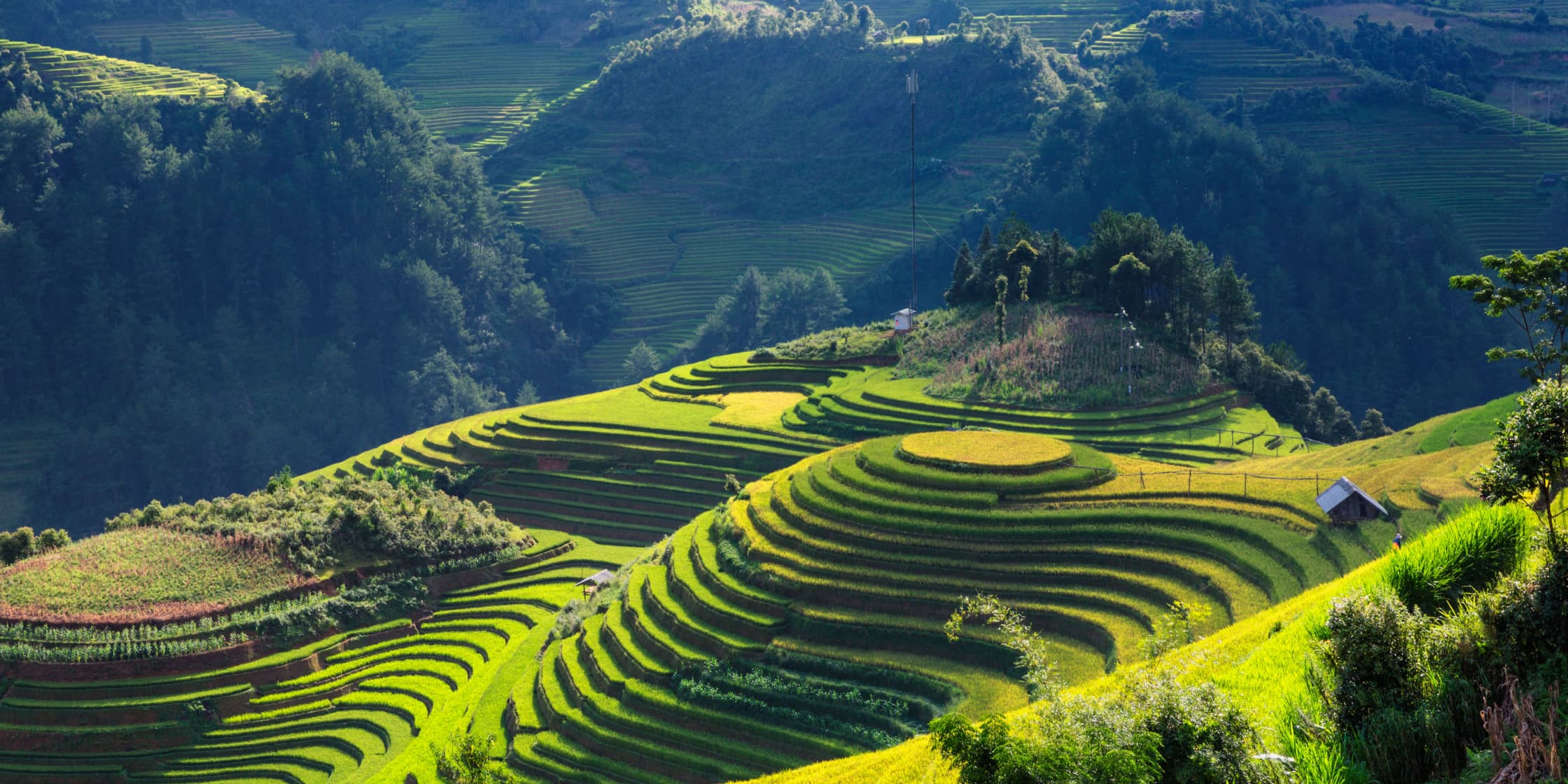 5d4n-hanoi---sapa---halong