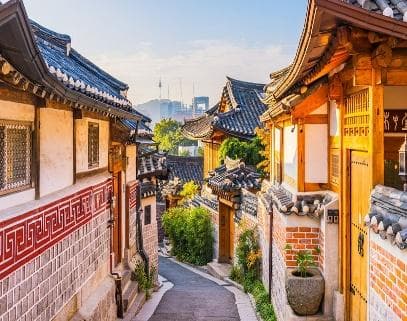 am-chim-sac-thu-xu-kim-chi-busan---seoul---nami-6n5