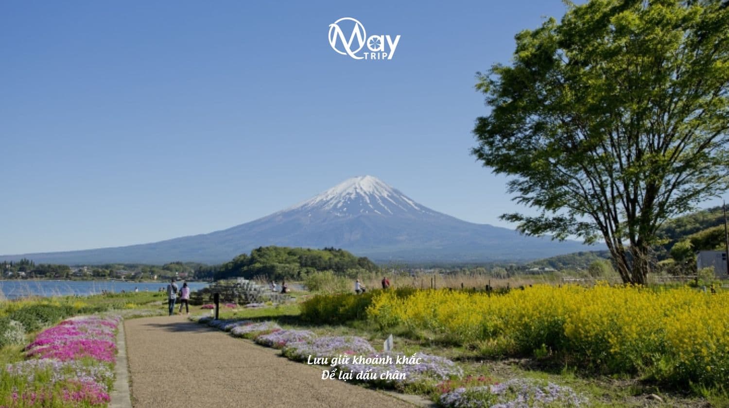 autumn-japan-tour-2025-narita--tokyo--yokohama--fuji--nagoya--kansai