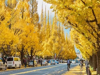 Tokyo – Mount Fuji Japan Discovery Tour 2025