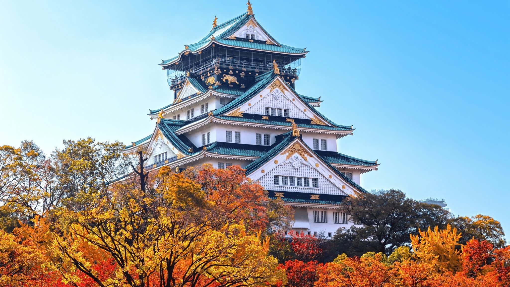 Nhật Bản CĐV (Osaka - Kyoto - Tokyo)
