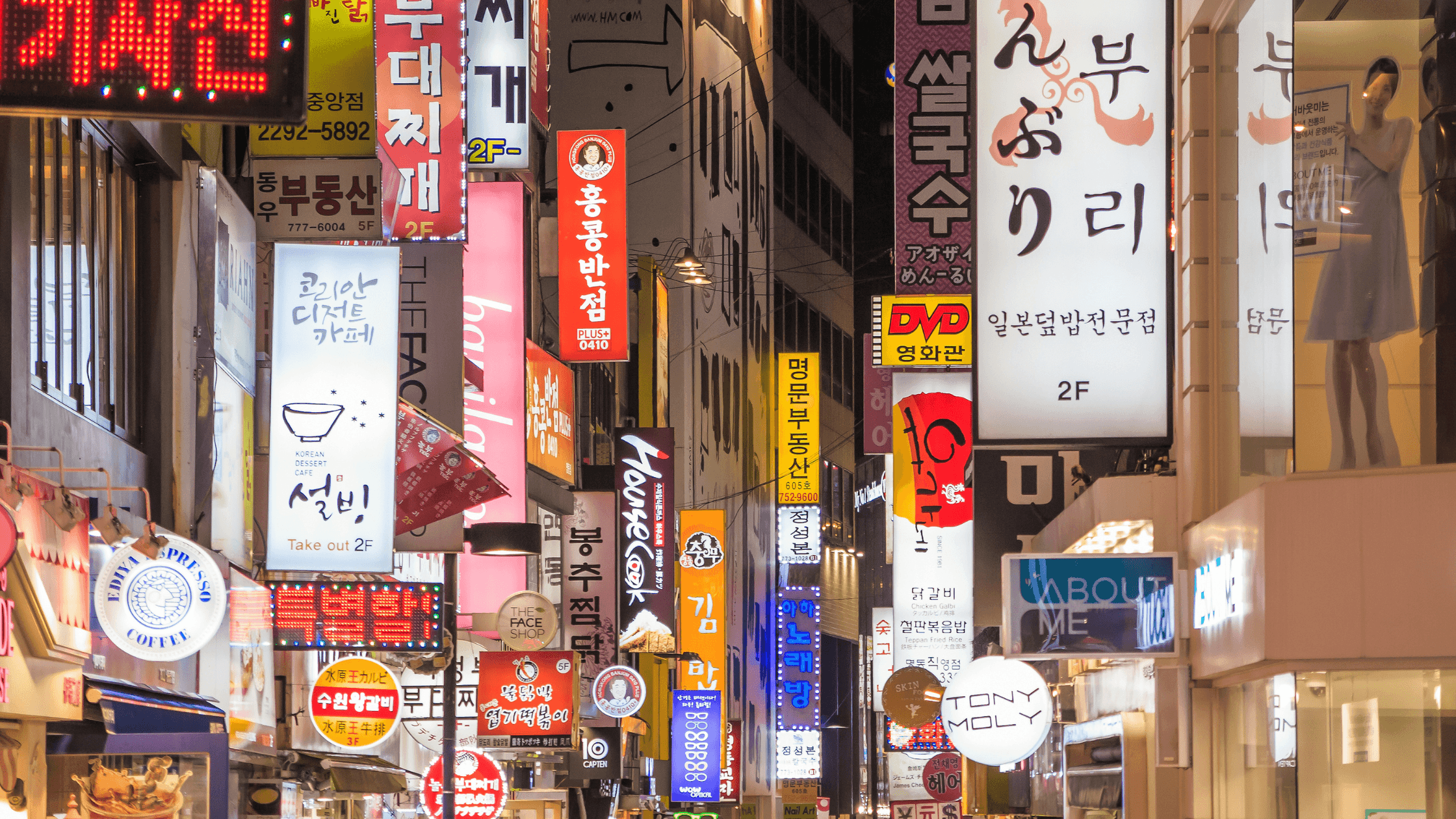 SOUTH KOREA TOUR - SEOUL: EXPERIENCE THE LAND OF KIMCHI