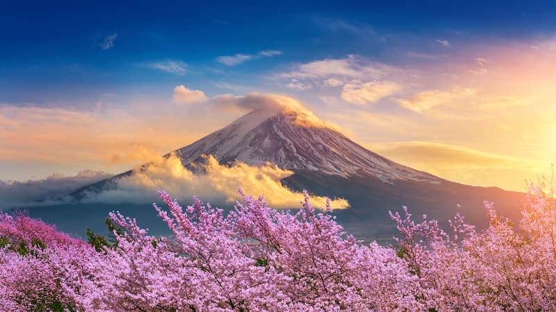 Hanoi - Osaka – Kobe – Kyoto– Fuji Mount – Skiing – Early Cherry Blossom – Tokyo – Hanoi