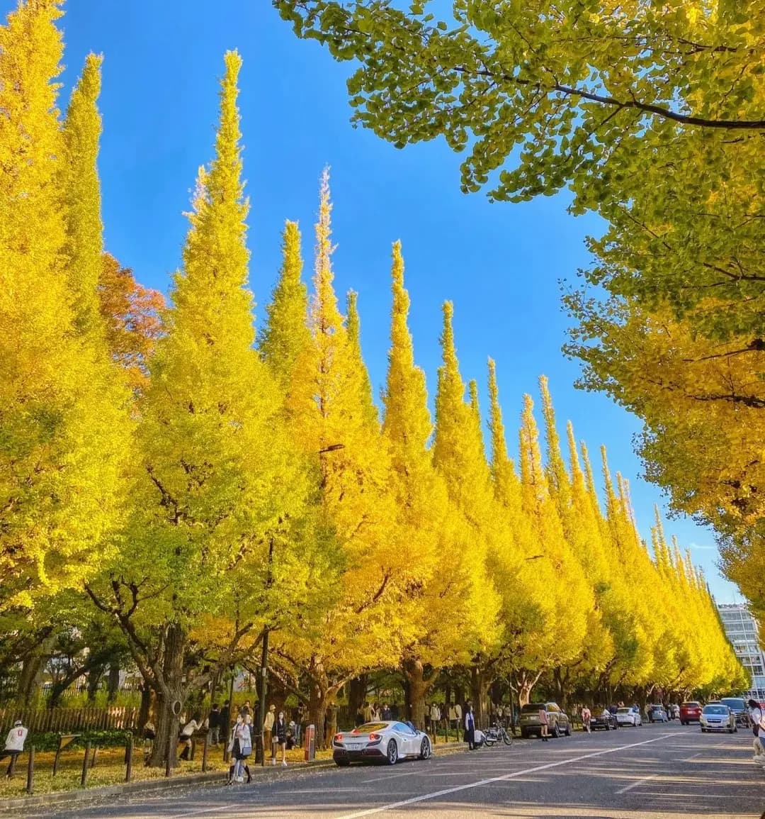 Japan's Golden Route: Tokyo - Fuji - Nagoya - Kyoto - Kobe - Osaka