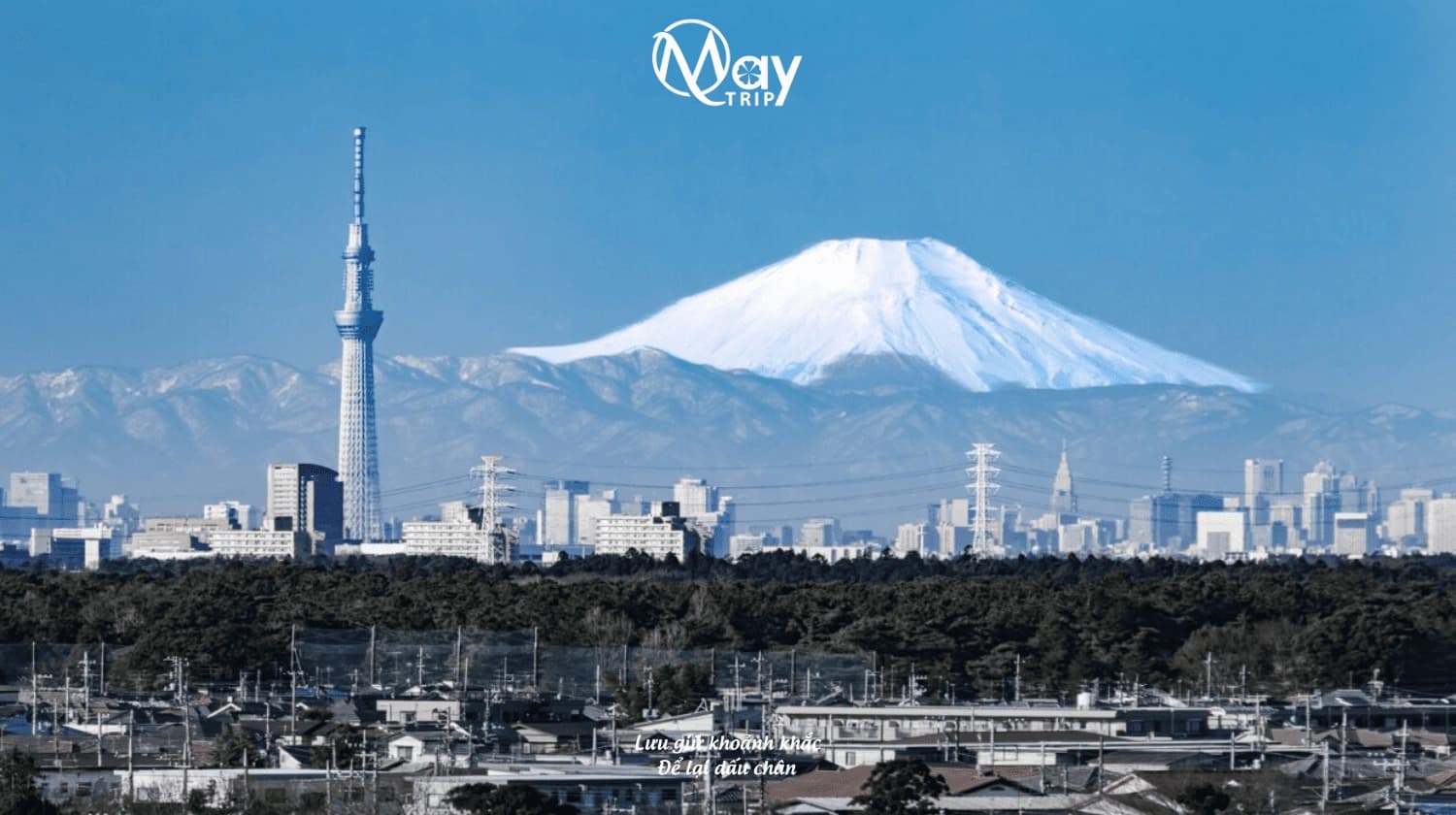 Tour Nhật Bản Cung Đường Vàng Nara - Tokyo Hè 2025