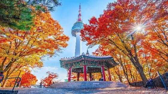 HÀN QUỐC - SEOUL - ĐẢO NAMI