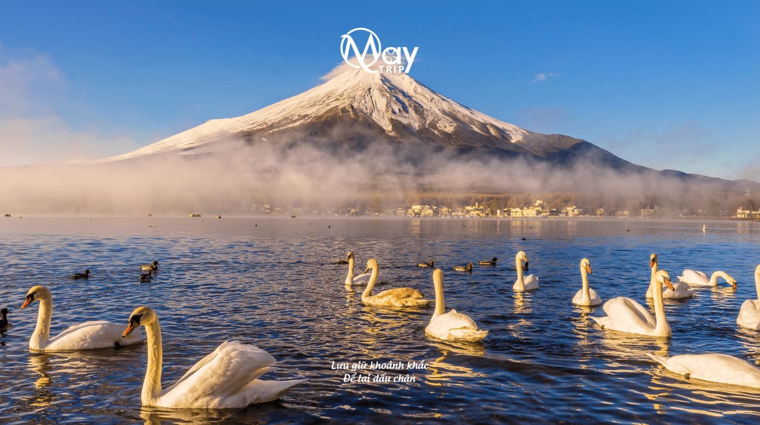 Tour Nhật Bản Mùa Hè 2025: Narita – Tokyo – Fuji – Nagoya – Osaka – Kansai