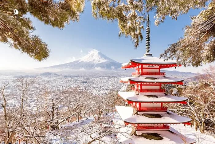 Japan Tour: Tokyo - Yamanashi - Nabana No Sato - Kyoto - Osaka (5 Days, 5 Nights) from Ho Chi Minh City - New Year 2026