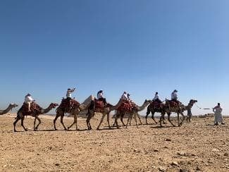 TOUR DU LỊCH AI CẬP CAIRO - BAHARIYA - LUXOR - BIỂN ĐỎ