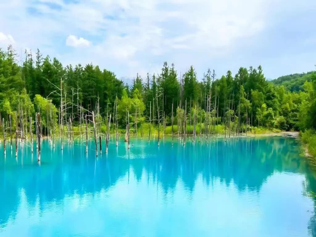 8D 7N/6N COLOURFUL HOKKAIDO