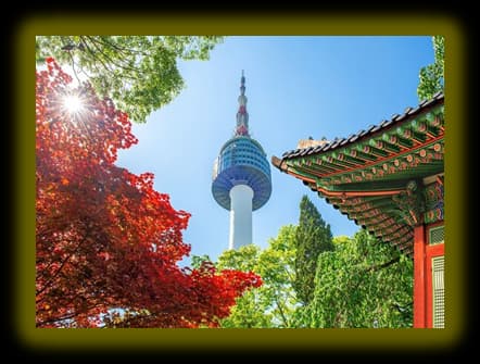 Tour Hàn Quốc: Busan - Daegu - Seoul 6 ngày 5 đêm