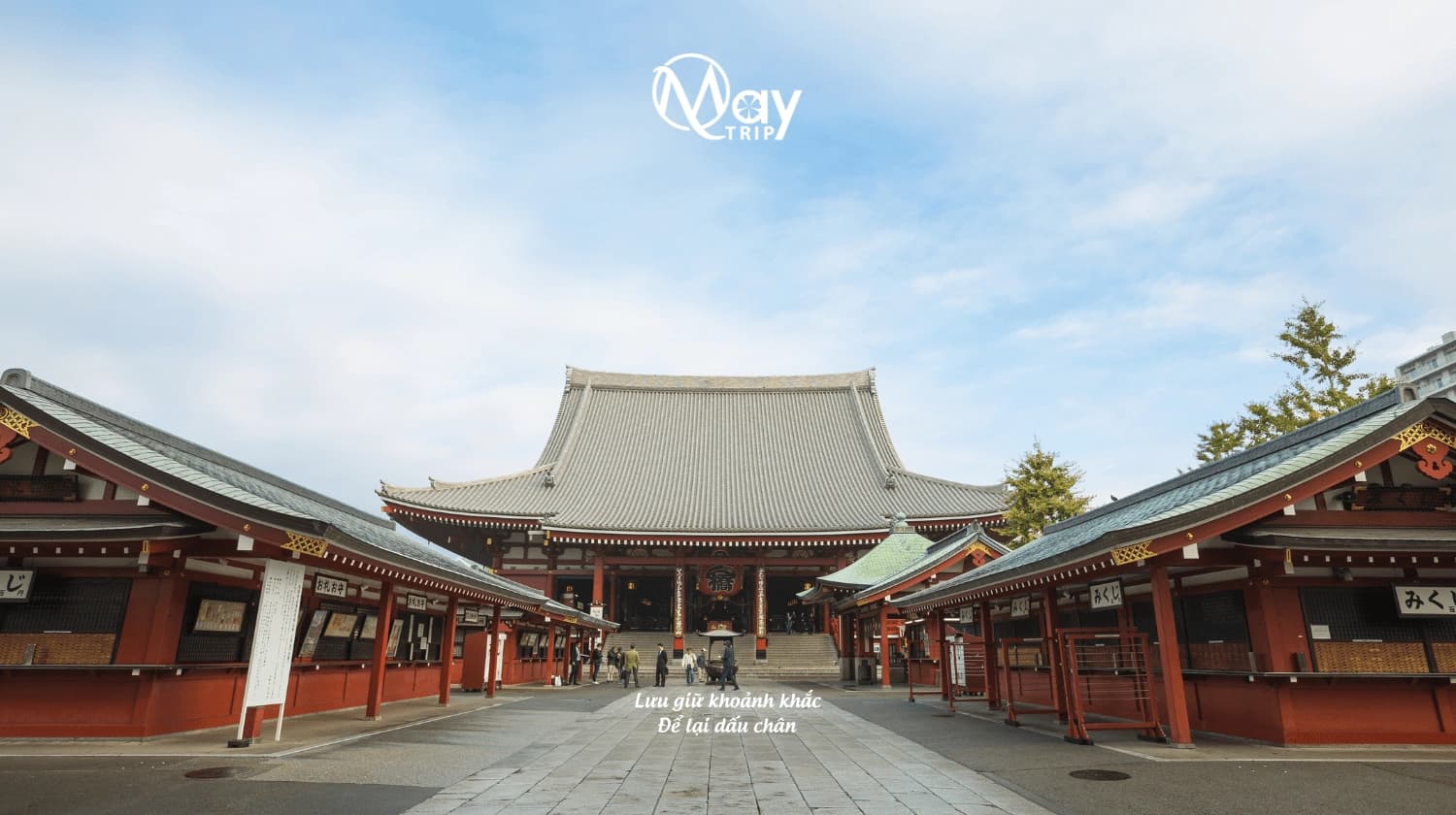 Tour Nhật Bản Cung Đường Vàng Nara - Tokyo Hè 2025