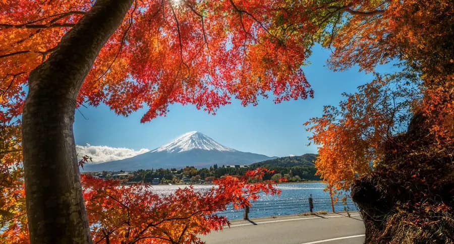 Autumn Japan Tour: Osaka - Kobe - Kyoto - Yamanashi, Flying Vietnam Airlines from Saigon (Ho Chi Minh City) 2025