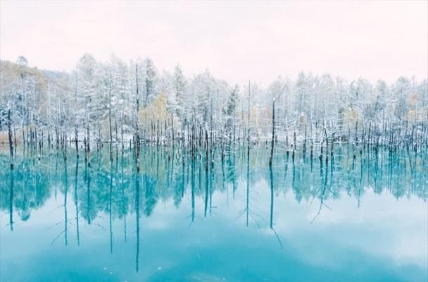 JAPAN WINTER TOUR: HOKKAIDO - THE FAIRYLAND OF SNOW