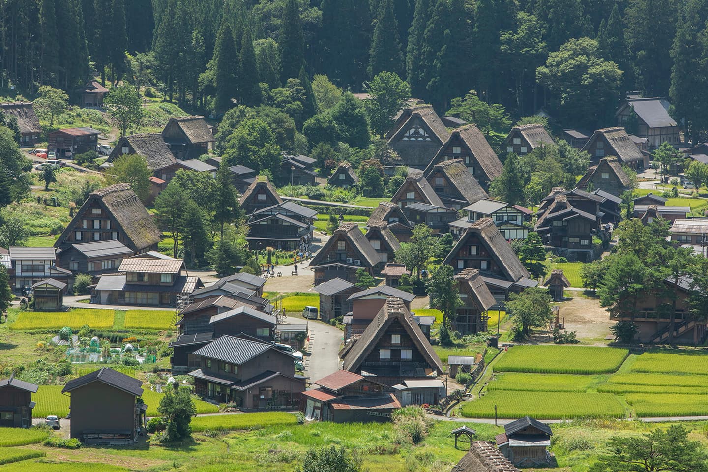 8D AUTUMN JAPAN SHIRAKAWAGO VILLAGE + SAGANO ROMANTIC TRAIN BY JL