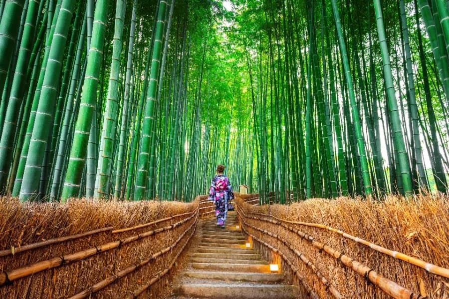 Tour Nhật Bản Cung Đường Vàng 5 Ngày 5 Đêm [khởi hành từ Hà Nội]