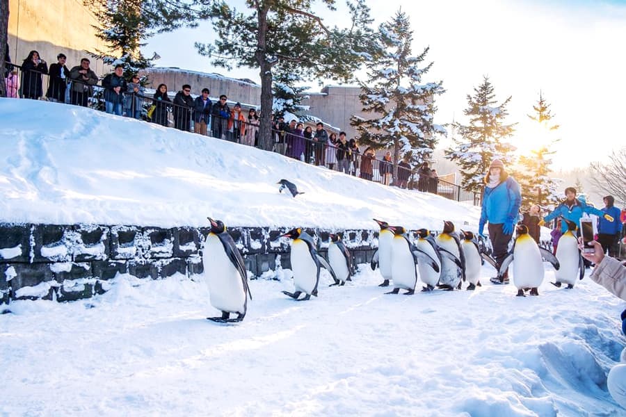 TẬN HƯỞNG KỲ NGHỈ TẾT TẠI HOKKAIDO VÀO MÙA ĐÔNG