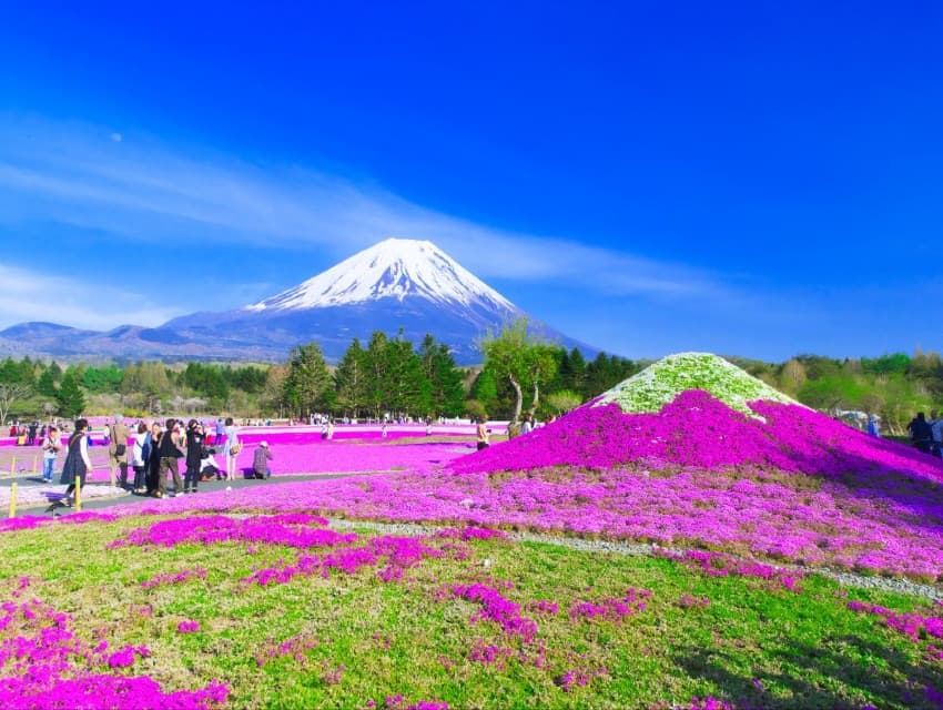 Tour Nhật Bản: Kobe | Kyoto | Osaka | Izumisano