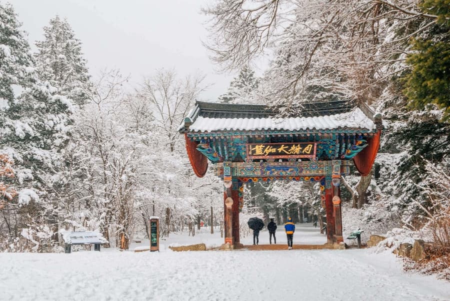 Tour Hàn Quốc Đón Tết 2026: Seoul - Nami - Everland 5N4D