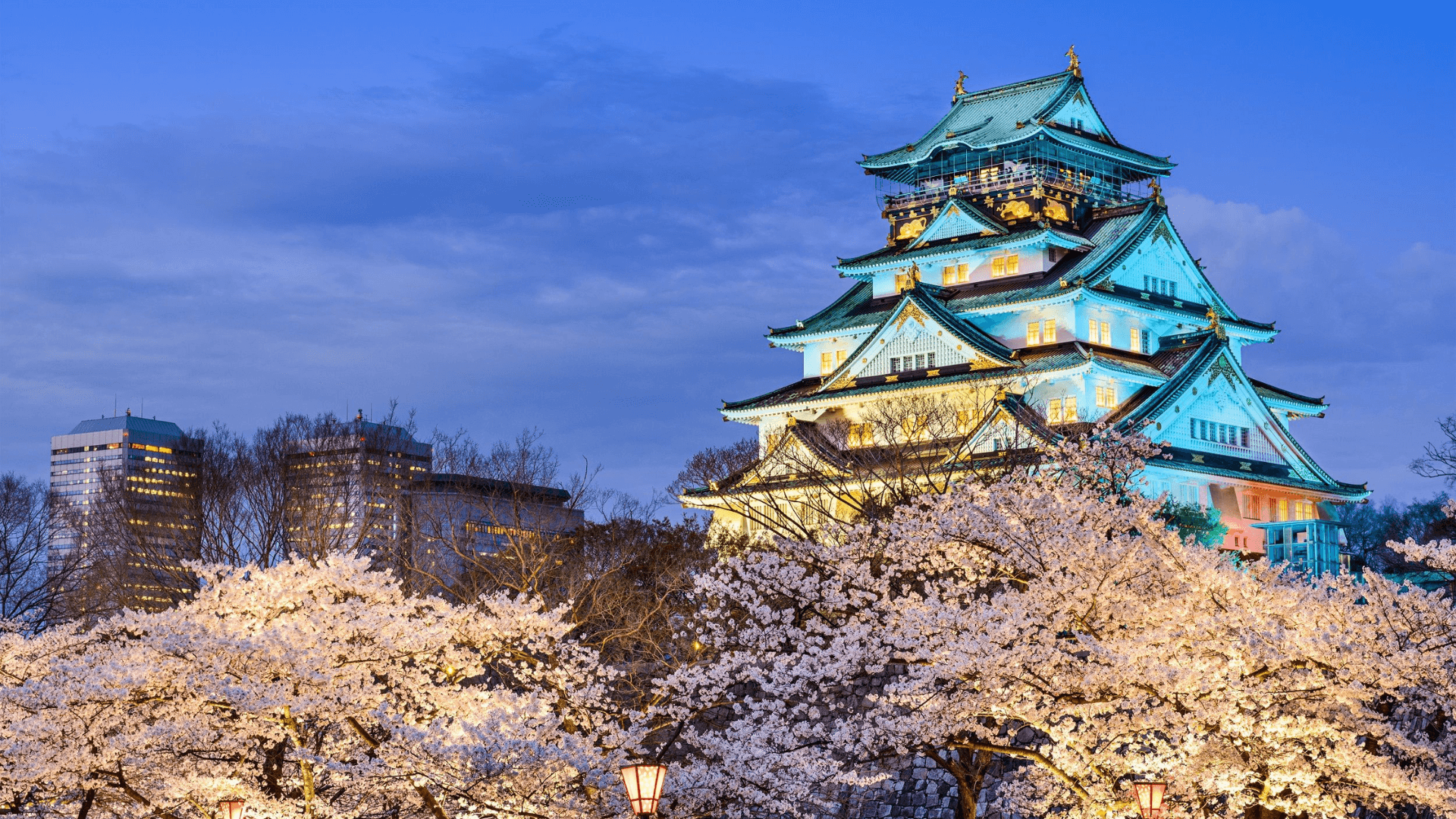 7D5N TOKYO & DISNEYLAND MAGIC (DEC 2025)