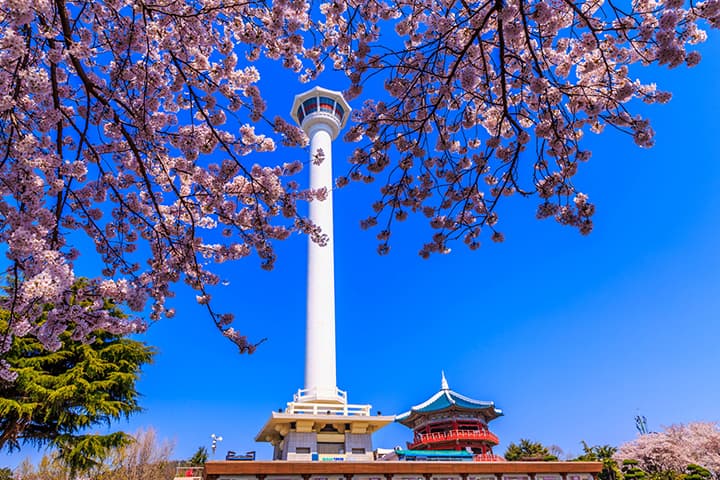 Tour Hàn Quốc: Busan - Daegu - Seoul 6 ngày 5 đêm