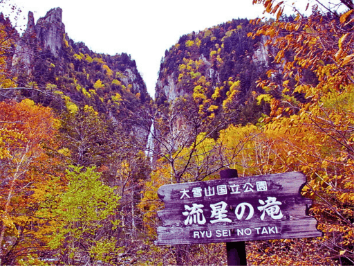 9D7N HOKKAIDO SEASONAL SPLENDOR