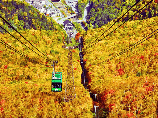 8d6n-eat-play-love-in-hokkaido