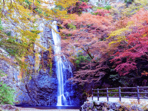 9D7N WESTERN JAPAN ODYSSEY