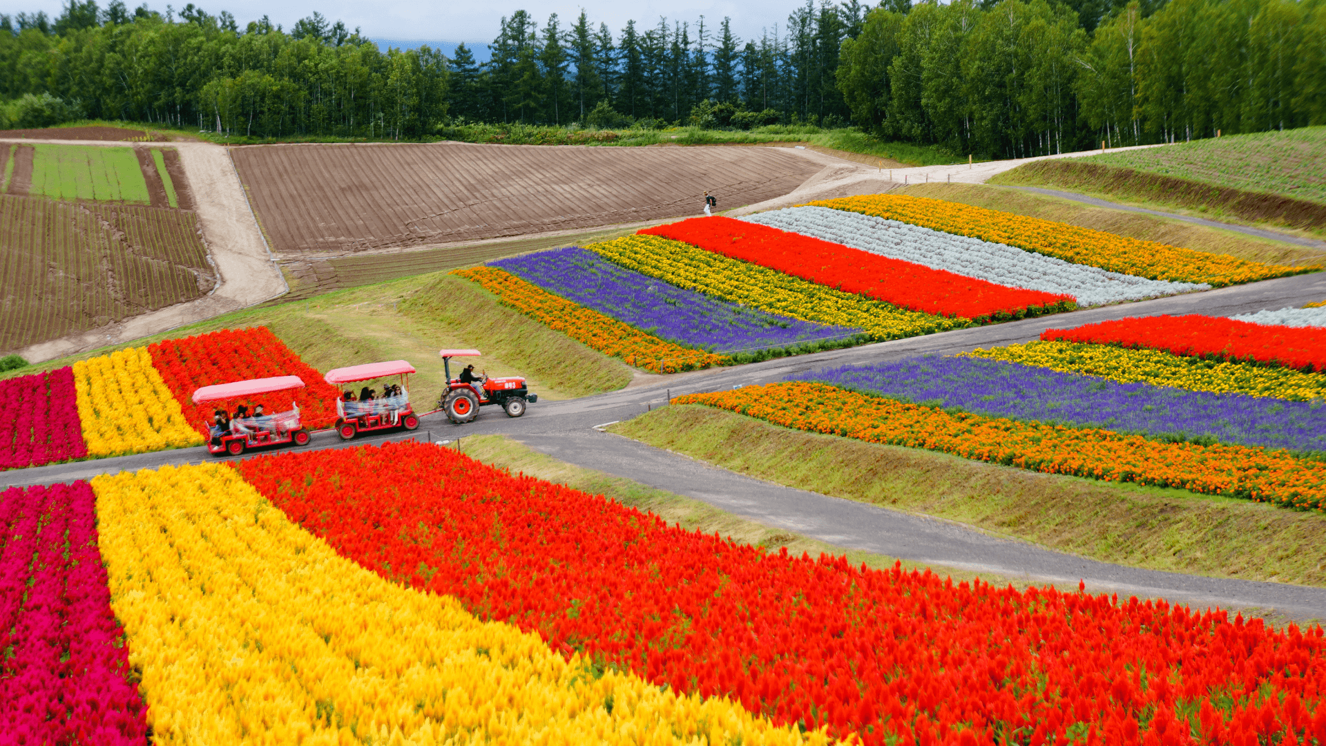 8D6N Scenic East Hokkaido