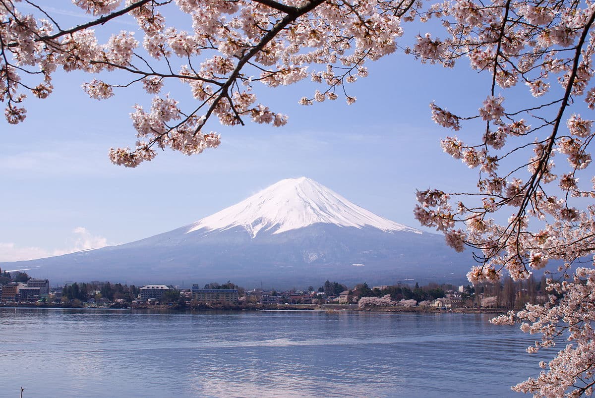Japan Cherry Blossom Tour OSAKA - KYOTO - MOUNT FUJI - TOKYO – NARITA 5 Days 5 Nights