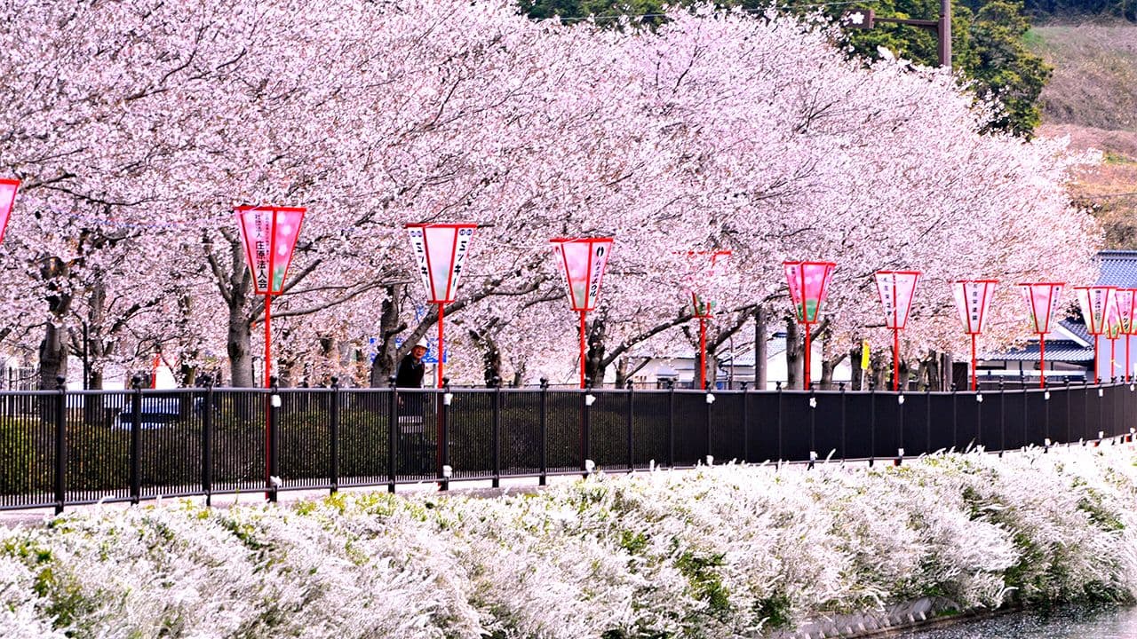 TP. Hồ Chí Minh – Tokyo – Núi Phú Sĩ – Kyoto – Osaka (6N5Đ)