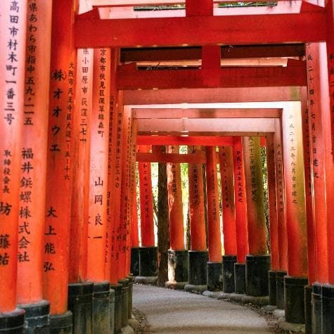 CUNG ĐƯỜNG VÀNG NHẬT BẢN 2025 SẮC THU LÃNG MẠN: NARA – OSAKA – KYOTO – NAGOYA – PHÚ SĨ – TOKYO (NO SHOP)