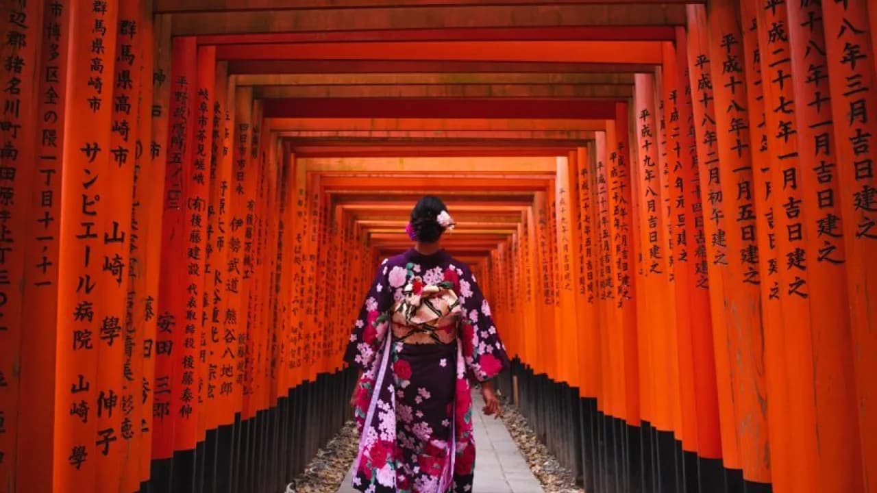 8D AUTUMN JAPAN GOLDEN ROUTE ARASHIYAMA BAMBOO FOREST + NARA DEER PARK BY TR