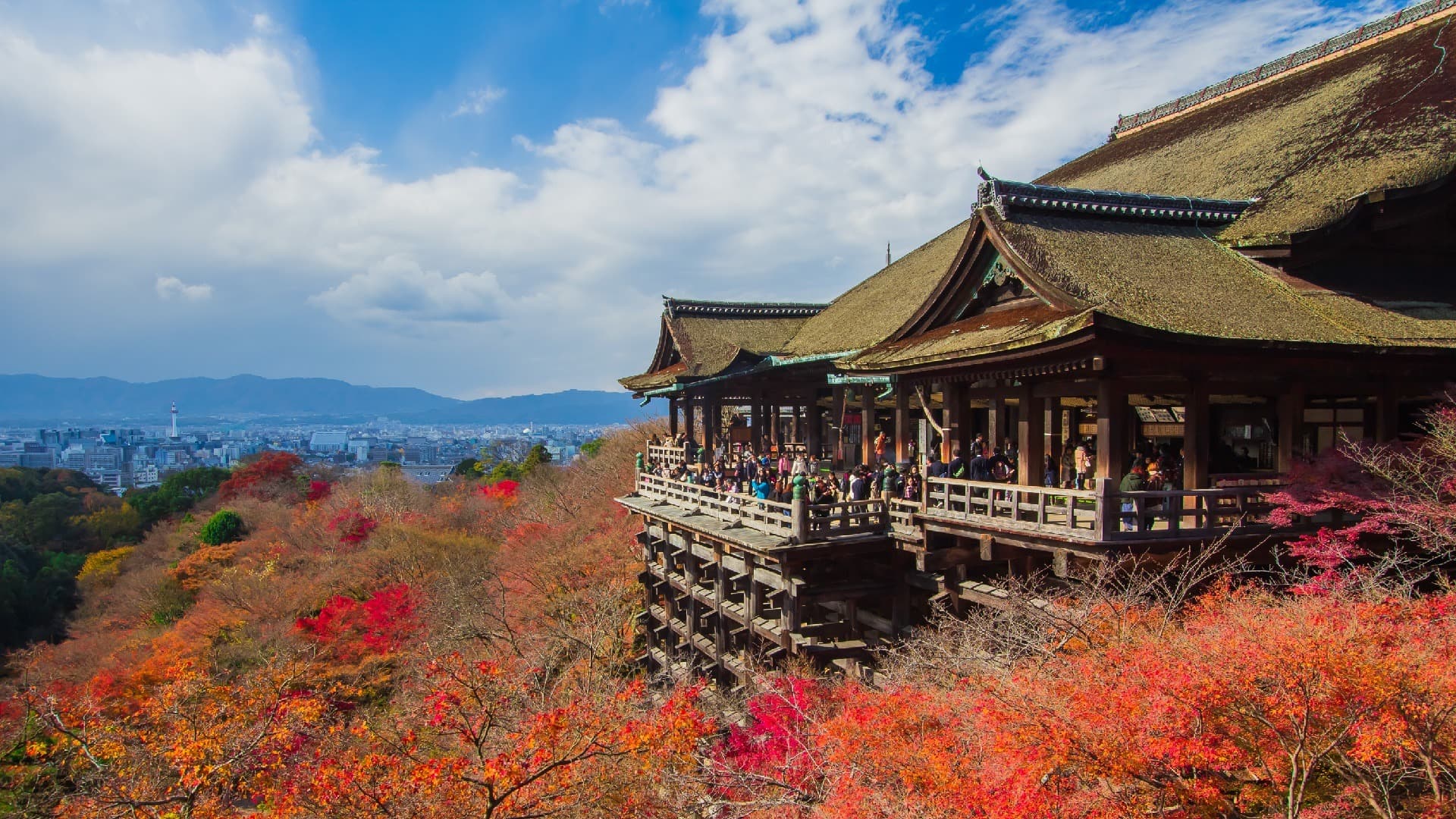 GDAY JAPAN SPECIAL + TOKYO DISNEYSEA & UNIVERSAL STUDIOS JAPAN